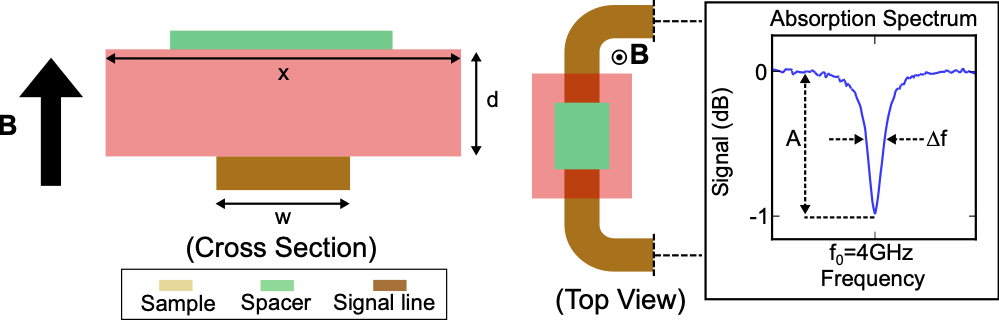 Microstrip-based technique used for the measurement of magnon linewidths.